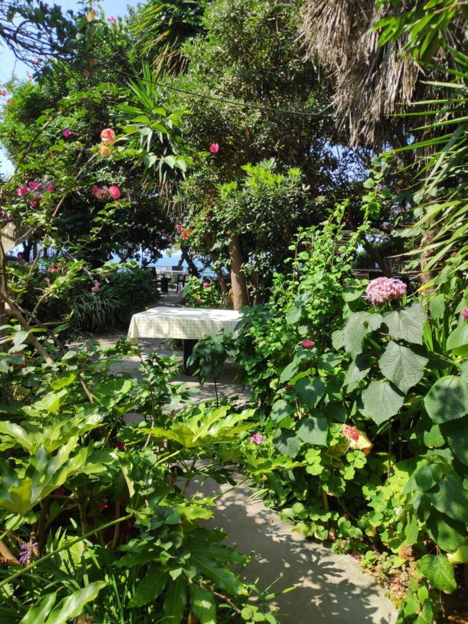 Alonaki Bay Apartment Halikounas ภายนอก รูปภาพ