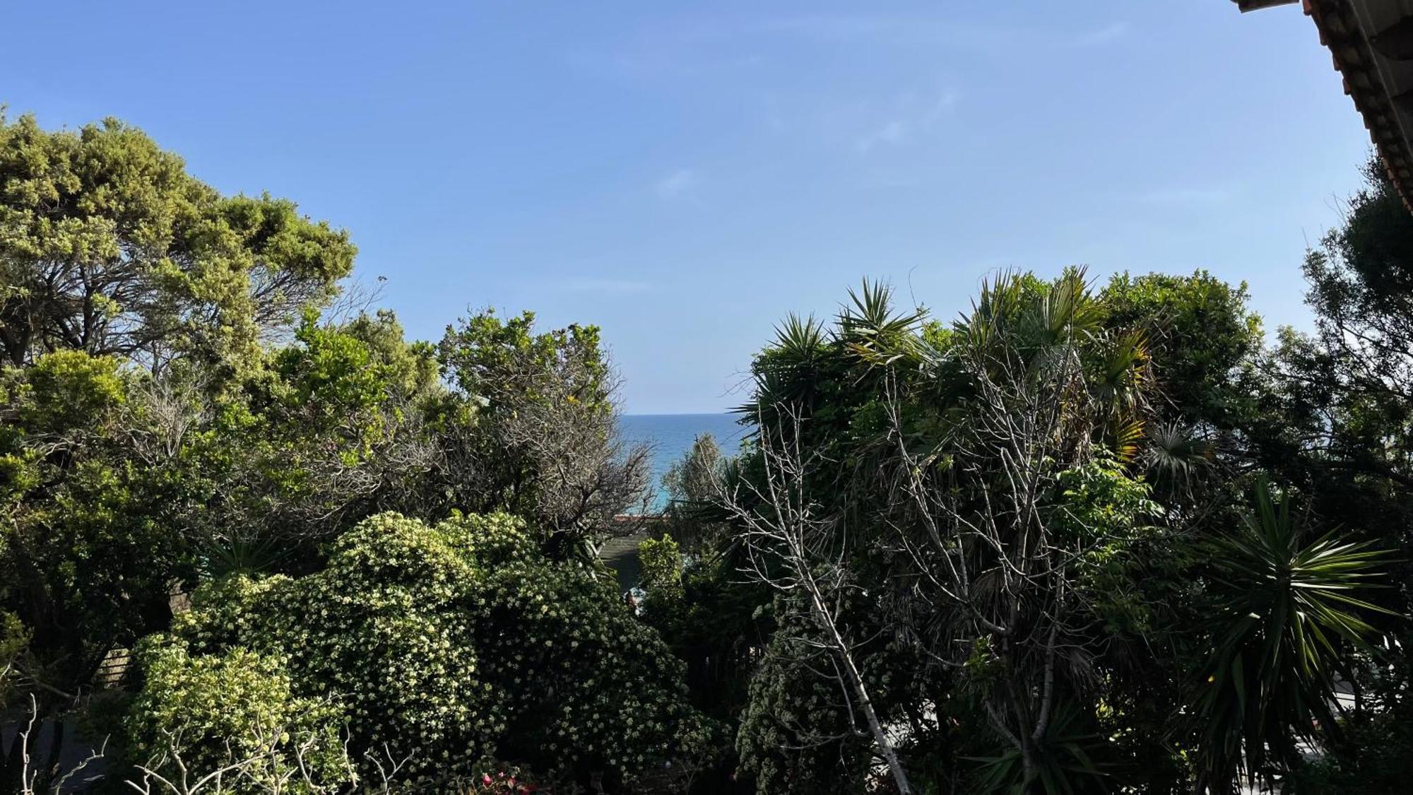 Alonaki Bay Apartment Halikounas ภายนอก รูปภาพ