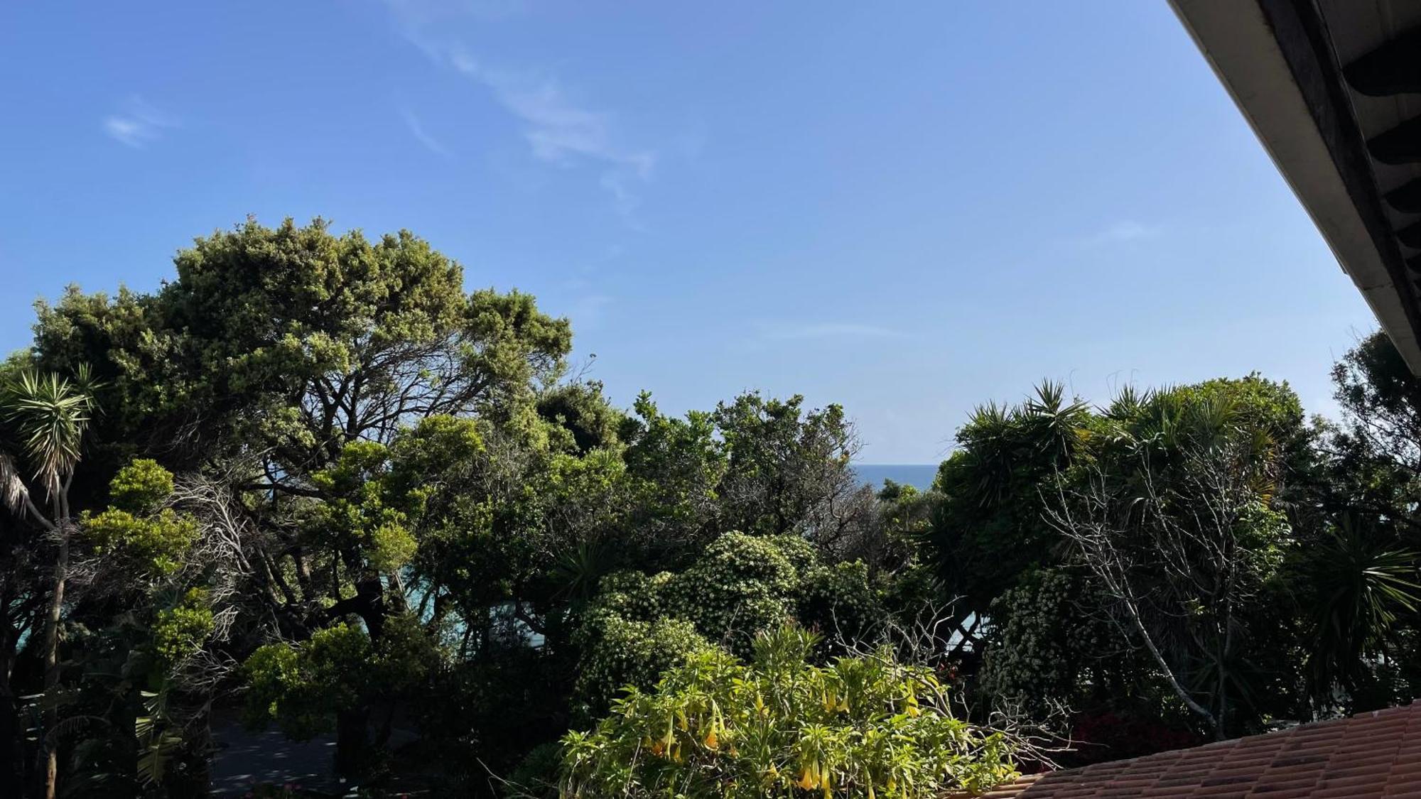 Alonaki Bay Apartment Halikounas ภายนอก รูปภาพ
