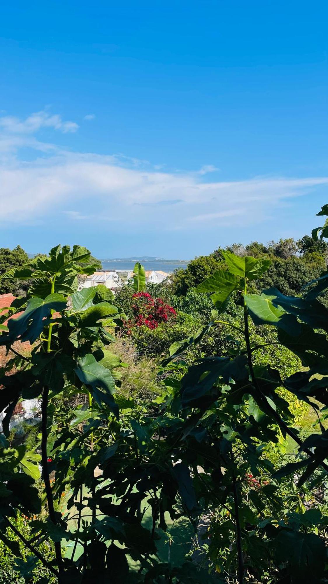 Alonaki Bay Apartment Halikounas ภายนอก รูปภาพ